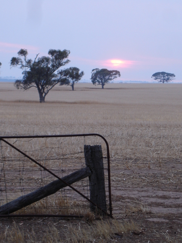 Wimmera Sunrise 