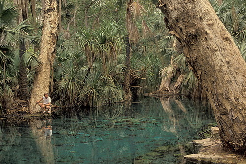 Thermal pools at Mataranka